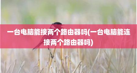 一台电脑能接两个路由器吗(一台电脑能连接两个路由器吗)