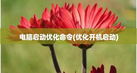 电脑启动优化命令(优化开机启动)