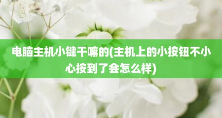 电脑主机小键干嘛的(主机上的小按钮不小心按到了会怎么样)