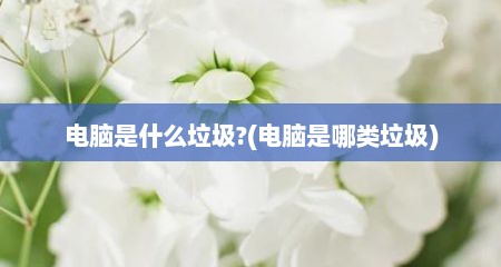 电脑是什么垃圾?(电脑是哪类垃圾)