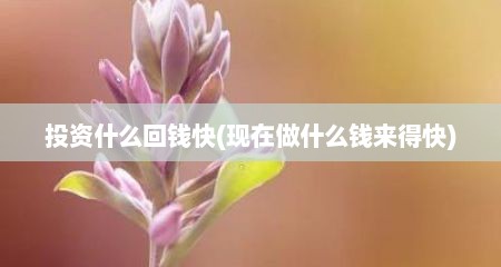 投资什么回钱快(现在做什么钱来得快)