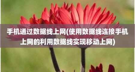 手机通过数据线上网(使用数据线连接手机上网的利用数据线实现移动上网)