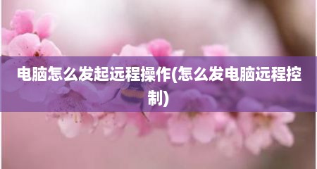 电脑怎么发起远程操作(怎么发电脑远程控制)