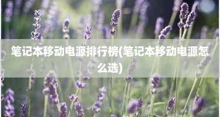 笔记本移动电源排行榜(笔记本移动电源怎么选)