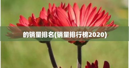 的销量排名(销量排行榜2020)