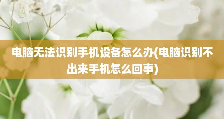 电脑无法识别手机设备怎么办(电脑识别不出来手机怎么回事)