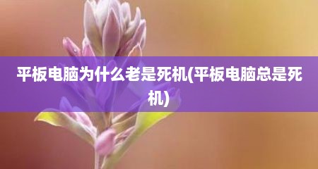 平板电脑为什么老是死机(平板电脑总是死机)