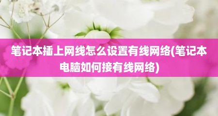 笔记本插上网线怎么设置有线网络(笔记本电脑如何接有线网络)