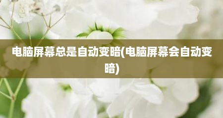 电脑屏幕总是自动变暗(电脑屏幕会自动变暗)