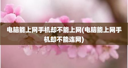 电脑能上网手机却不能上网(电脑能上网手机却不能连网)