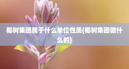 椰树集团属于什么单位性质(椰树集团做什么的)