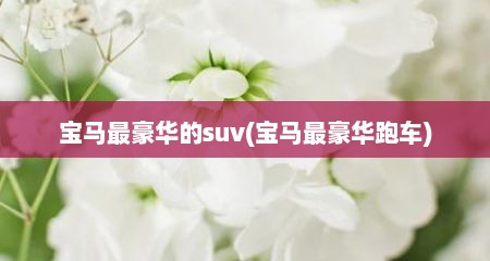 宝马最豪华的suv(宝马最豪华跑车)