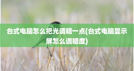 台式电脑怎么把光调暗一点(台式电脑显示屏怎么调暗度)