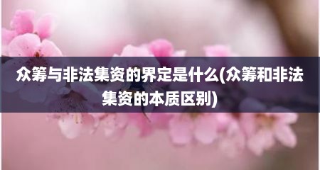 众筹与非法集资的界定是什么(众筹和非法集资的本质区别)