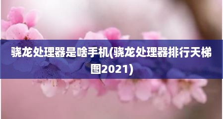 骁龙处理器是啥手机(骁龙处理器排行天梯图2021)