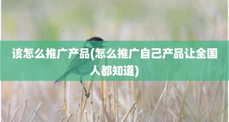 该怎么推广产品(怎么推广自己产品让全国人都知道)