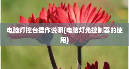 电脑灯控台操作说明(电脑灯光控制器的使用)