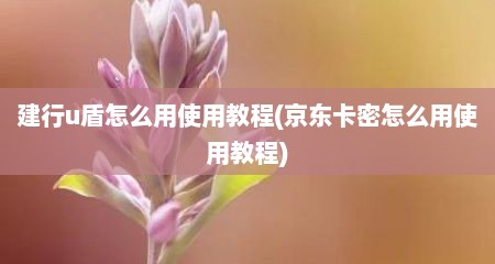 建行u盾怎么用使用教程(京东卡密怎么用使用教程)