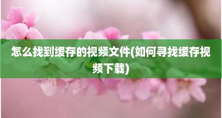 怎么找到缓存的视频文件(如何寻找缓存视频下载)