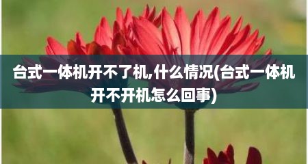 台式一体机开不了机,什么情况(台式一体机开不开机怎么回事)