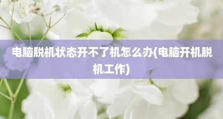 电脑脱机状态开不了机怎么办(电脑开机脱机工作)