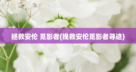 拯救安伦 觅影者(挽救安伦觅影者寻迹)