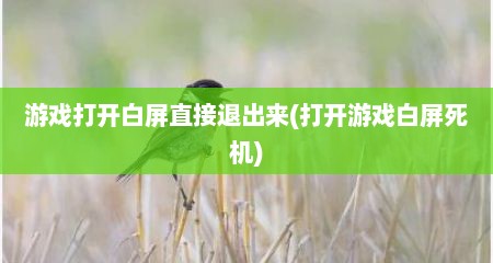 游戏打开白屏直接退出来(打开游戏白屏死机)