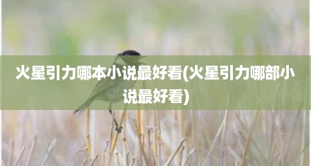 火星引力哪本小说最好看(火星引力哪部小说最好看)