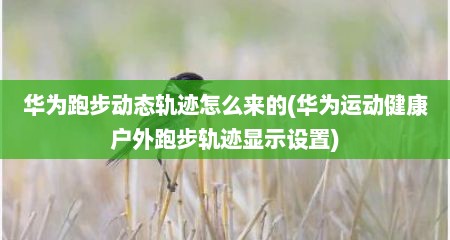 华为跑步动态轨迹怎么来的(华为运动健康户外跑步轨迹显示设置)