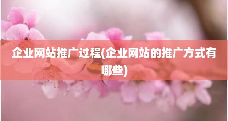 企业网站推广过程(企业网站的推广方式有哪些)