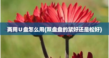 两用∪盘怎么用(双盘盘的紧好还是松好)