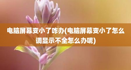 电脑屏幕变小了咋办(电脑屏幕变小了怎么调显示不全怎么办呢)