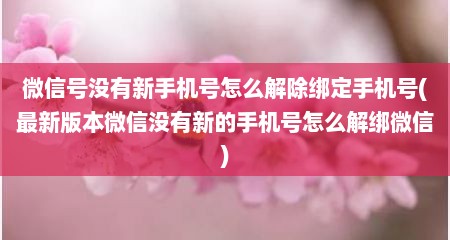 微信号没有新手机号怎么解除绑定手机号(最新版本微信没有新的手机号怎么解绑微信)