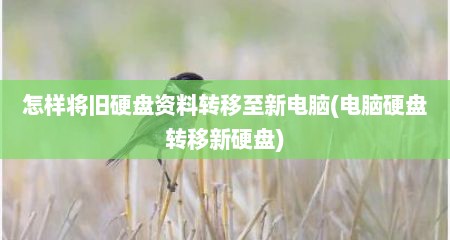 怎样将旧硬盘资料转移至新电脑(电脑硬盘转移新硬盘)