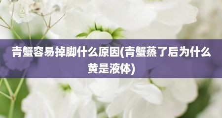 青蟹容易掉脚什么原因(青蟹蒸了后为什么黄是液体)