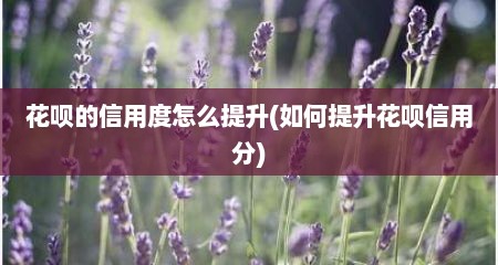 花呗的信用度怎么提升(如何提升花呗信用分)