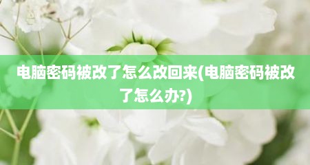 电脑密码被改了怎么改回来(电脑密码被改了怎么办?)