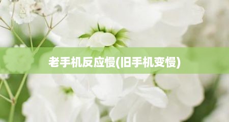 老手机反应慢(旧手机变慢)