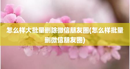 怎么样大批量删除微信朋友圈(怎么样批量删微信朋友圈)