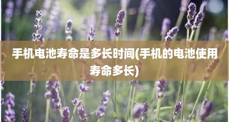 手机电池寿命是多长时间(手机的电池使用寿命多长)