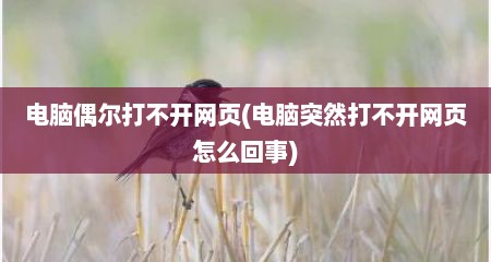 电脑偶尔打不开网页(电脑突然打不开网页怎么回事)