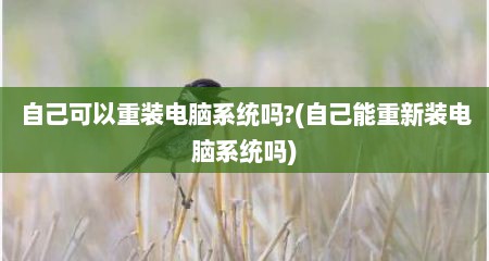 自己可以重装电脑系统吗?(自己能重新装电脑系统吗)