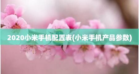 2020小米手机配置表(小米手机产品参数)