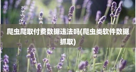 爬虫爬取付费数据违法吗(爬虫类软件数据抓取)