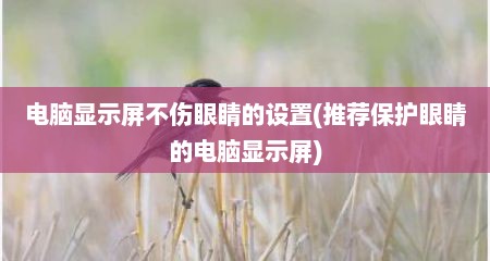 电脑显示屏不伤眼睛的设置(推荐保护眼睛的电脑显示屏)