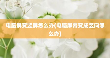 电脑屏变竖屏怎么办(电脑屏幕变成竖向怎么办)