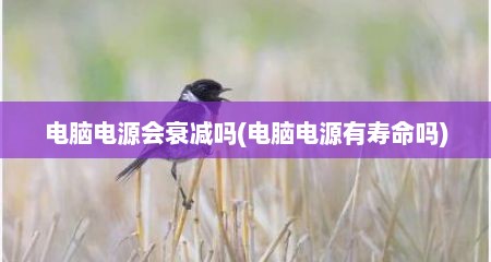 电脑电源会衰减吗(电脑电源有寿命吗)