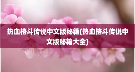 热血格斗传说中文版秘籍(热血格斗传说中文版秘籍大全)