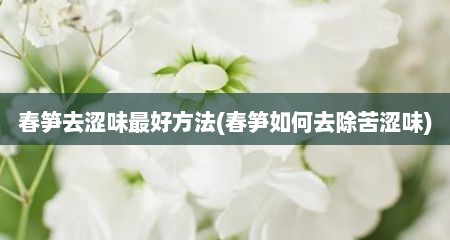 春笋去涩味最好方法(春笋如何去除苦涩味)