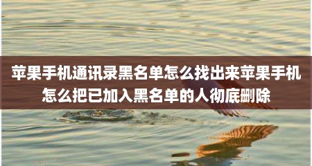 苹果手机通讯录黑名单怎么找出来苹果手机怎么把已加入黑名单的人彻底删除